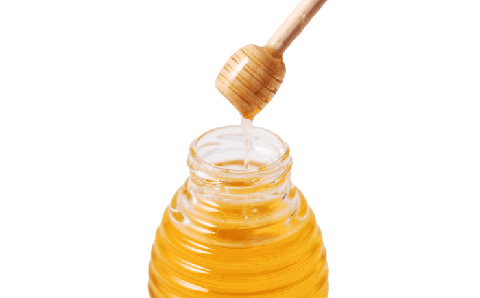 えこびとのレトロプリンとはちみつプリン2種セット（計5個） / スイーツ / 佐賀県 / 株式会社中村 [41AJCN009]