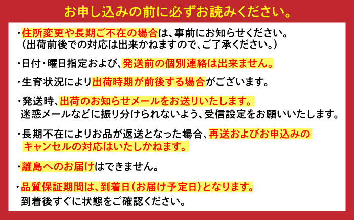 旬の柑橘類 / フルーツ / 佐賀県 / 一般社団法人龍乃 [41ANAC098]