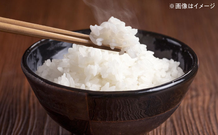 令和7年産 さがびより 白米 10kg / お米 白米 精米 / 佐賀県 / 一般社団法人龍乃 [41ANAC107]