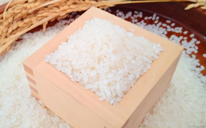 がばいＵ米（うまい）無洗米 10kg（5kg×2袋） / 無洗 国産 九州 / 佐賀県 / 大塚米穀店 [41ANAD004]