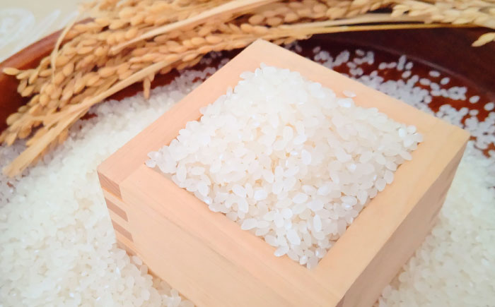 【全3回定期便】さがびより 無洗米 10kg（5kg×2袋） / お米 ふるさと納税 送料無料 / 佐賀県 / 大塚米穀店 [41ANAD021]