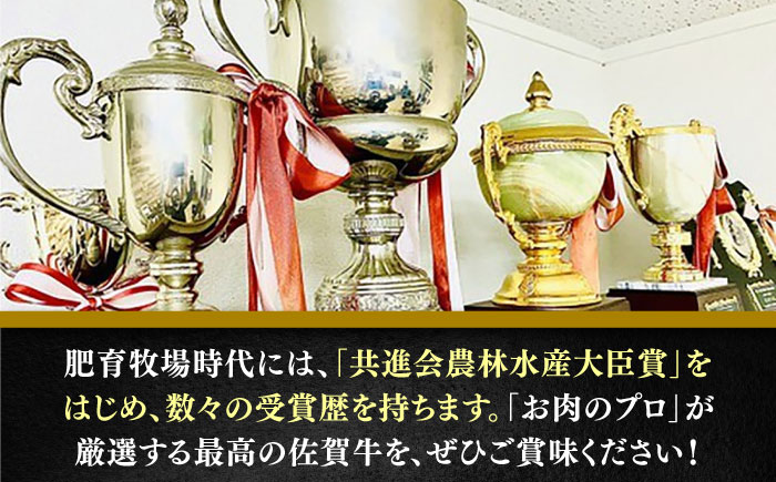 佐賀牛切り落とし600g（ロース・バラ・赤身）/ 牛肉 / 佐賀県 / 田中畜産牛肉店 [41ARAA009]