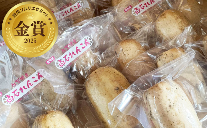 【金賞受賞！】真空パック 松尾青果のこだわり白石れんこん 約1kg(4-8個) / れんこん 蓮根 レンコン 野菜 根菜 / 佐賀県 / 松尾青果 [41ASAB001]