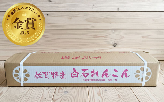 【金賞受賞！】泥付き 松尾青果のこだわり白石れんこん 約3kg / れんこん 蓮根 レンコン 野菜 根菜 / 佐賀県 / 松尾青果 [41ASAB002]
