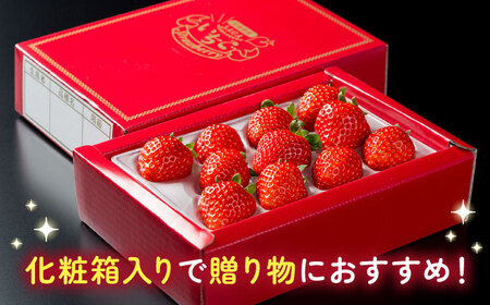 【2026年発送分 先行予約】【化粧箱入り】白石産いちご「さがほのか」400g / フルーツ / 佐賀県 / 岸川農園 [41ASAG003]
