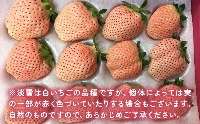 【2026年発送分 先行予約】【全3回定期便】淡いピンクの白いちご「淡雪」 計1.32kg （220g×2パック×3回） / フルーツ / 佐賀県 / 岸川農園 [41ASAG005]