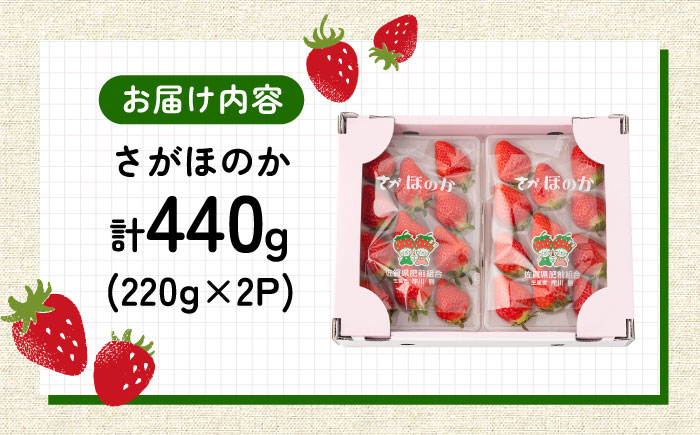 【2026年発送分 先行予約】白石産いちご「さがほのか」 220g×2パック / フルーツ / 佐賀県 / 岸川農園 [41ASAG010]