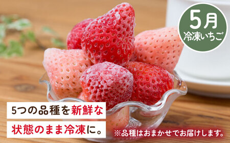 【2026年発送分 先行予約】【全5回定期便】佐賀県産 いちご4品種（いちごさん・さがほのか・よつぼし・淡雪）と冷凍いちご食べ比べ / フルーツ / 佐賀県 / 岸川農園 [41ASAG039]