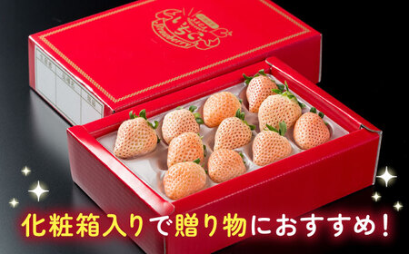 【2026年発送分 先行予約】【化粧箱入り】ほんのりピンクな白いちご希少「淡雪」400g / フルーツ / 佐賀県 / 岸川農園 [41ASAG044]