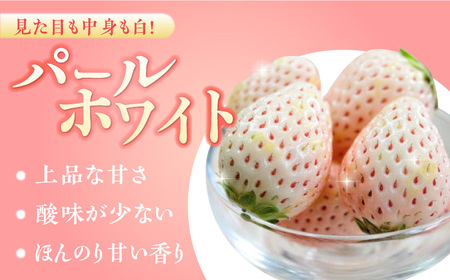 【2026年発送分 先行予約】【化粧箱入り】佐賀県産 いちごさん・パールホワイト 330g（約15-18粒） / フルーツ / 佐賀県 / かわさきいちご [41ASBJ002]