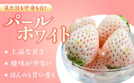 【2026年発送分 先行予約】【交互にお届け】【全4回定期便】いちごさん・パールホワイト / フルーツ / 佐賀県 / かわさきいちご [41ASBJ005]