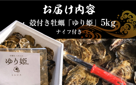 竹崎産 ブランド生牡蠣「ゆり姫」5kg（ナイフ付き）/ かき / 佐賀県 / 宗徳丸 [41ATAF004]