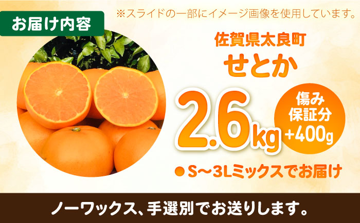 【訳あり】せとか 計3kg（2.6kg＋400ｇ傷み保証分） S-3Lサイズ / みかん / 佐賀県 / 山本農園[41ATBT010]