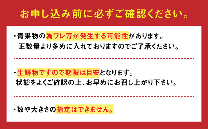 人気のドトマト1号 2kg（1kg×2箱） / 佐賀県 / 永尾産ち [41AAAC001]