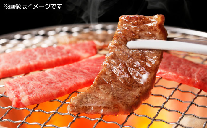 佐賀牛イチボ焼き肉用500g / 牛肉 / 佐賀県 / やま田商店 [41AAAR006]
