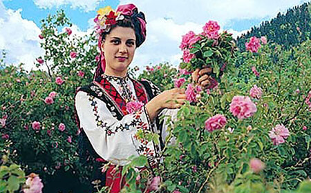 マリーアントワネット 500ml×2本入 / お酒 / 佐賀県 / 株式会社Rose [41AAAS011]