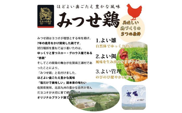 生チキ【みつせ鶏プレーン味】鶏生ウインナー 計10本（各40g×5本×2P）/ ソーセージ ウインナー BBQ  / 佐賀県 / 山代ガス株式会社 旬菜舎さと山 [41AABM053]