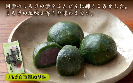 冷凍白玉饅頭詰合せ Bセット / スイーツ / 佐賀県 / 白玉饅頭元祖吉野屋 [41AACQ002]