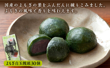 冷凍白玉饅頭詰合せ Dセット / スイーツ / 佐賀県 / 白玉饅頭元祖吉野屋 [41AACQ004]