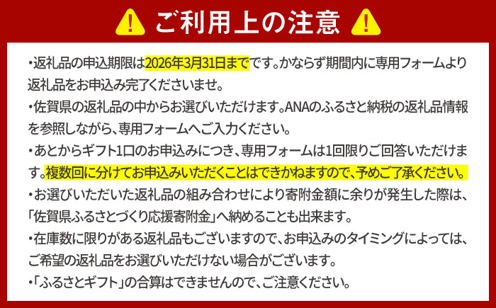 【あとから選べる】佐賀県ふるさとギフト 30万円分 [41AAZY020]