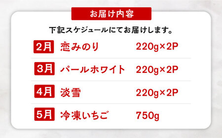 【2026年発送分 先行予約】【全4回定期便】希少いちご（恋みのり・パールホワイト・淡雪・冷凍いちご）食べ比べ定期便 / フルーツ / 佐賀県ふるさと納税 [41AAZZ003]