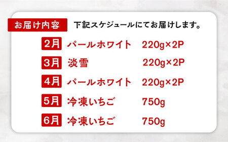 【2026年発送分 先行予約】【全5回定期便】白いちご2種と冷凍いちご / フルーツ / 佐賀県ふるさと納税 [41AAZZ004]