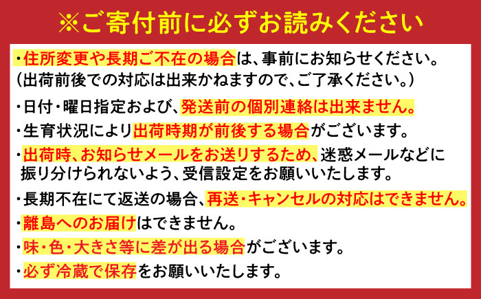 佐賀県産みかん にじゅうまる約5kg / フルーツ 柑橘 唐津 にじゅうまる / 佐賀県 / リフルット株式会社 [41ABAA023]