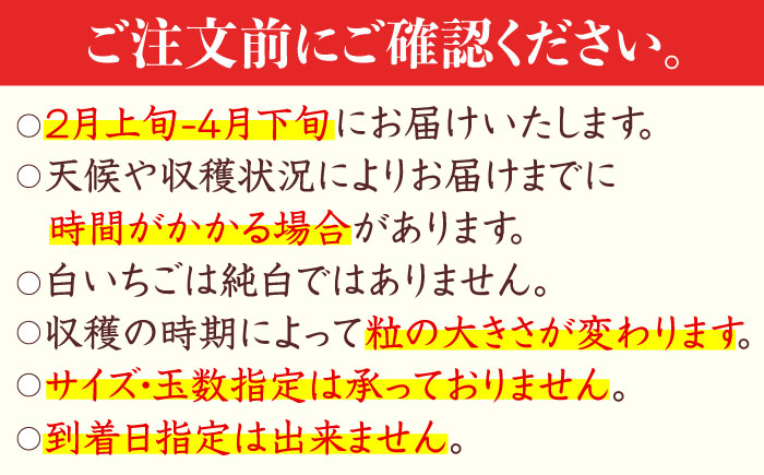 白い宝石（自宅用）約520g（約130g×4パック）/ いちご / 佐賀県 / 手島農園 [41ABAB003]
