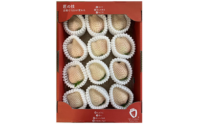白い宝石（フルーツキャップ）1箱（約470g） / いちご / 佐賀県 / 手島農園 [41ABAB007]