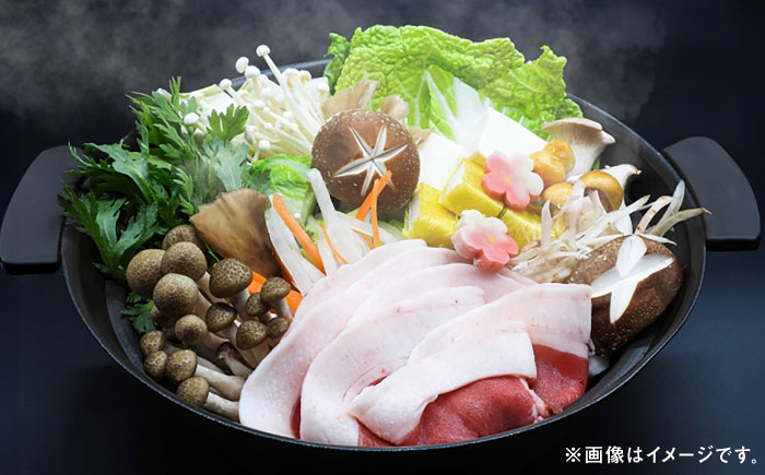 天然いのしし肉スライス 600g / 佐賀県 / ジビエ唐津 [41ABAG004]