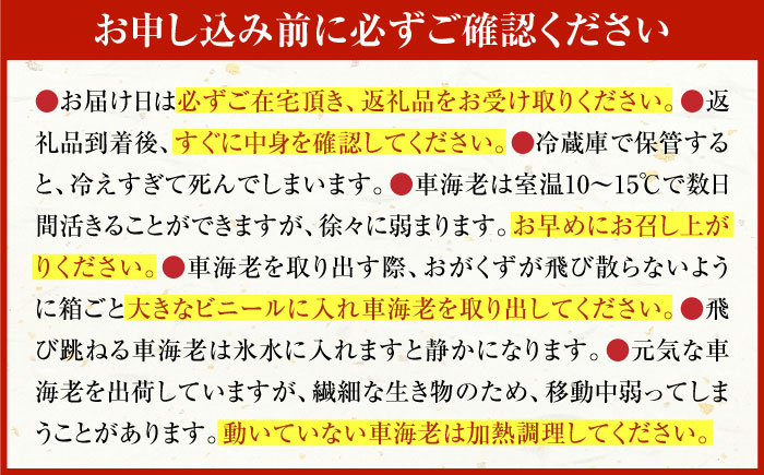 配送地域限定【※指定日必須】活車海老（養殖） 計300g（6-12尾）/ えび / 佐賀県 / 拓水 浜崎クルマエビセンター [41ABAI001]