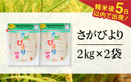 令和7年産 さがびより 白米 計4kg（2kg×2袋） / 精米 / 佐賀県 / 株式会社森光商店 [41ACBW005]