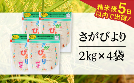 令和7年産 さがびより 白米 計8kg（2kg×4袋）/ 精米 / 佐賀県 / 株式会社森光商店 [41ACBW013]