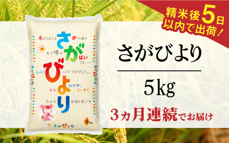 【全3回定期便】令和7年産 さがびより 白米 計15kg（5kg×1袋×3回）/ 精米 / 佐賀県 / 株式会社森光商店 [41ACBW023]