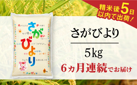 【全6回定期便】令和7年産 さがびより 白米 計30kg（5kg×1袋×6回）/ 精米 / 佐賀県 / 株式会社森光商店 [41ACBW029]