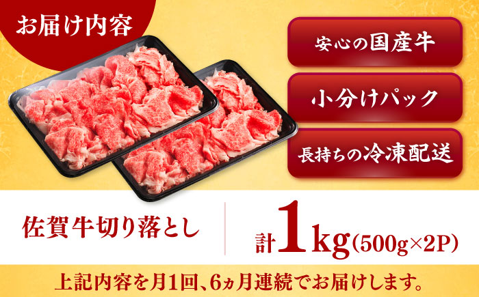【全6回定期便】佐賀牛切り落とし 計6kg（500g×2P×6回） / 牛肉 / 佐賀県 / ヤマサン食品 [41ADAA006]