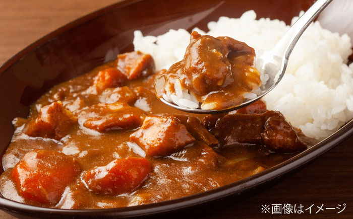 佐賀牛 サイコロステーキ 500g（250g×2P） / 牛肉 / 佐賀県 / 織田精肉店 [41ADAB001]