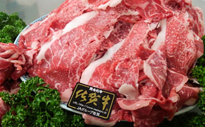 佐賀牛 切り落とし 1kg （500g×2P） / 牛肉 / 佐賀県 / 織田精肉店 [41ADAB007]