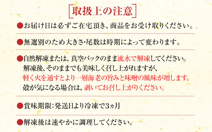 夏車海老の特注みそ漬け 計450（車海老250g、味噌200g） / えび / 佐賀県 / 株式会社拓水 伊万里クルマエビセンター [41AEAJ001]