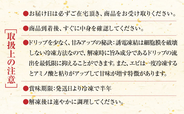 車海老 計500g（250g×2袋）/ えび / 佐賀県 / 株式会社拓水 伊万里クルマエビセンター [41AEAJ007]