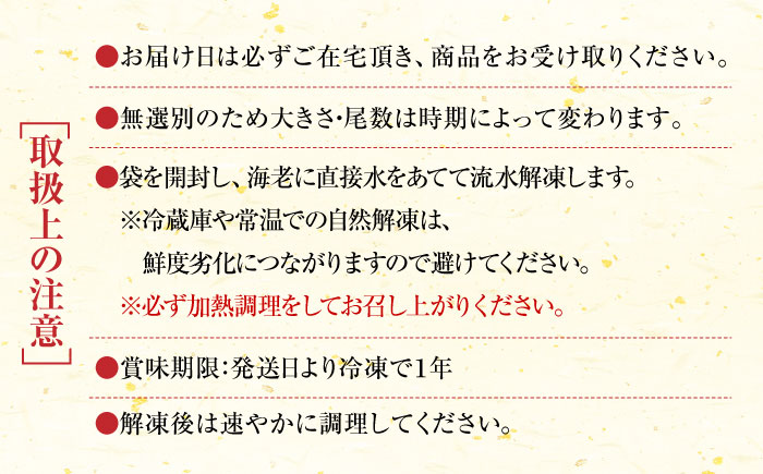 【加熱用】伊万里特産 無頭冷凍車海老 計1.25kg（250g×5袋）/ えび / 佐賀県 / 株式会社拓水 伊万里クルマエビセンター [41AEAJ009]