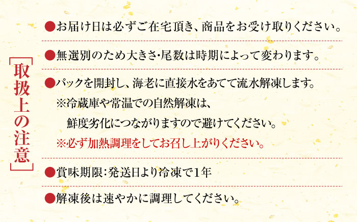 【訳あり】伊万里産 冷凍車海老（加熱用） 計1.25kg（250g×5パック） / えび / 佐賀県 / 株式会社拓水 伊万里クルマエビセンター [41AEAJ012]