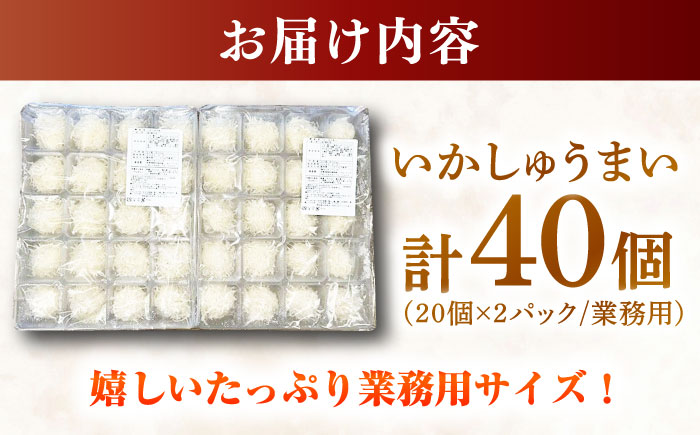 【業務用】いかしゅうまい（20個入り×2パック） / 惣菜 / 佐賀県 [41AECT003]