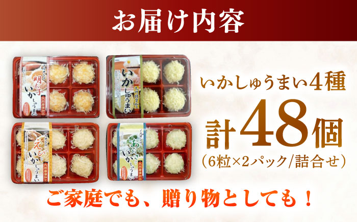 いかしゅうまい4種詰め合わせ（6個入り×各2パック） / 惣菜 / 佐賀県 [41AECT004]