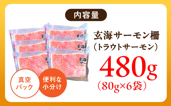玄海サーモン柵80g×6袋 / 魚介類 / 佐賀県 / 株式会社九州特産品販売 [41AECT008]