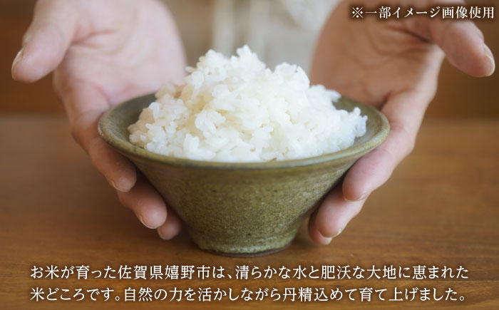 令和7年産 ひのひかり5kg 白米 / 精米 / 佐賀県 / 有限会社中島商店 [41AGAC003]