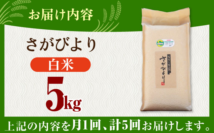 【全5回定期便】令和7年産 ななしま家 さがびより 5kg / 精米 / 佐賀県 / 有限会社七島農産 [41AHAC005]