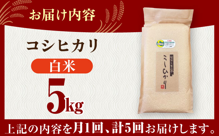 【全5回定期便】令和7年産 ななしま家 コシヒカリ 5kg / 精米 / 佐賀県 / 有限会社七島農産 [41AHAC007]