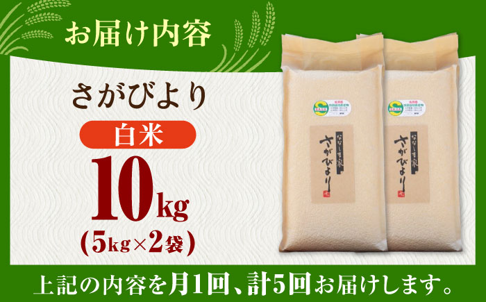 【全5回定期便】令和7年産 ななしま家 さがびより 5kg×2袋 / 精米 特別栽培 / 佐賀県 / 有限会社七島農産 [41AHAC008]