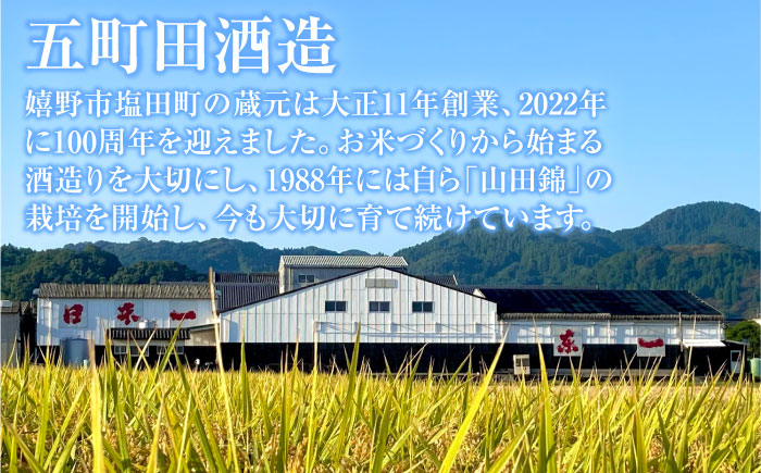 東一 大吟醸・純米大吟醸 セット 720ml×2本 / 日本酒 / 佐賀県 / 有限会社嬉野酒店 [41AIAA001]
